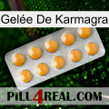 Gelée De Karmagra levitra1